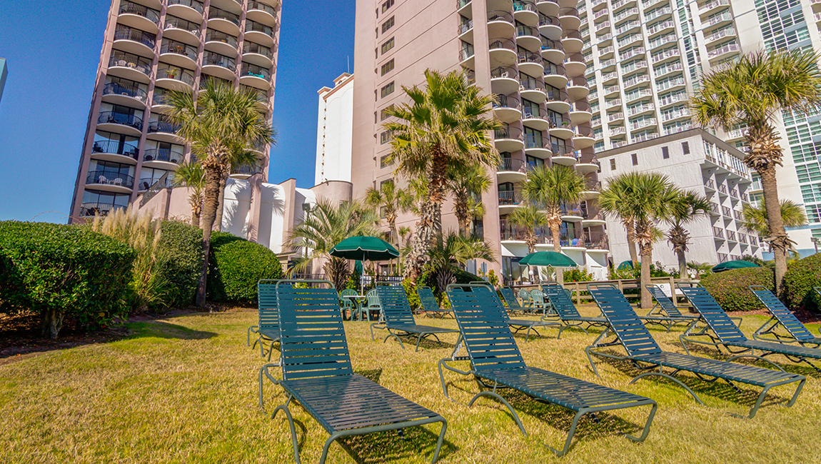 Palms Resort — photo 19 of 60