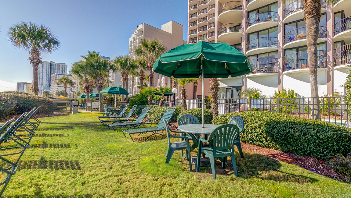 Palms Resort — photo 52 of 60