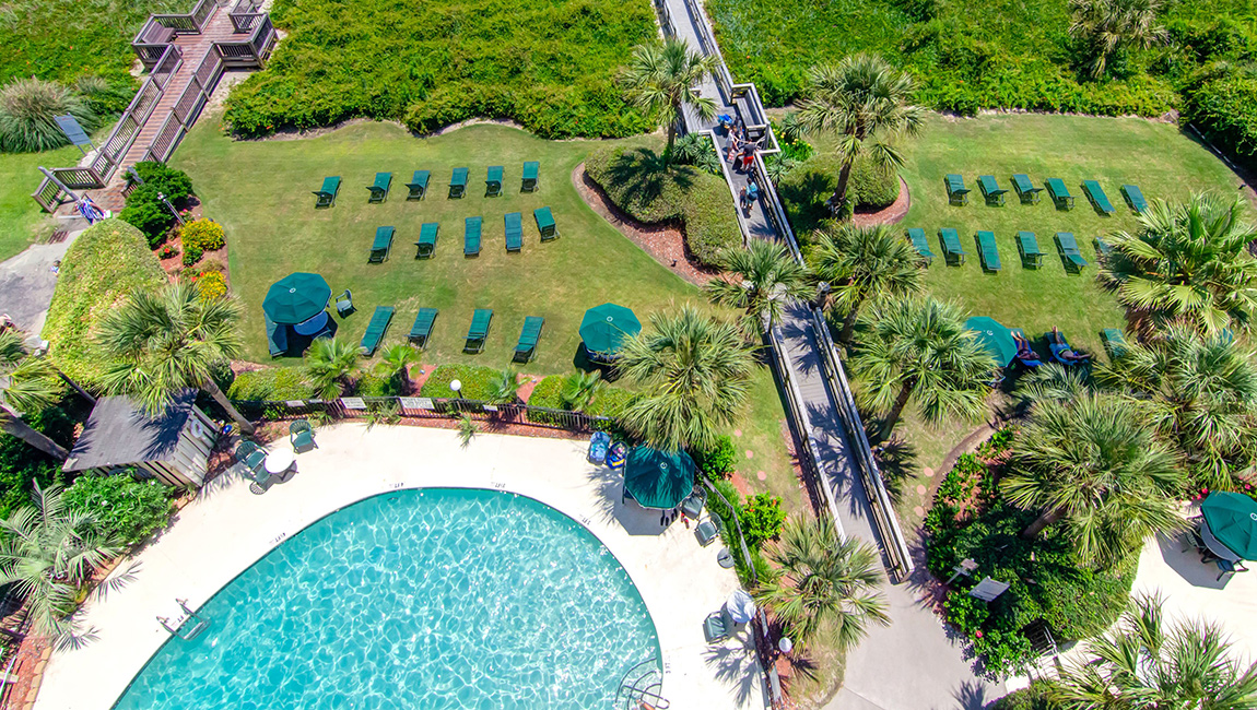 An aerial view of a pool area with lounge chairs and palm trees.